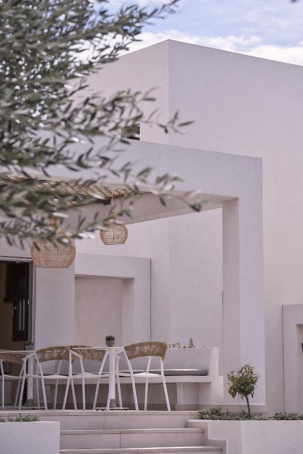 Isida Andros Otel Áyios Pétros Dış mekan fotoğraf